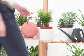 Float Planter 自动浇水花盆，巧妙缺水提醒图片