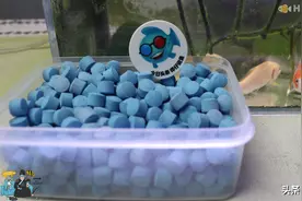 一直被错用，从未被质疑，把蓝粉盐撒进鱼缸里，其实很荒谬｜辟谣图片