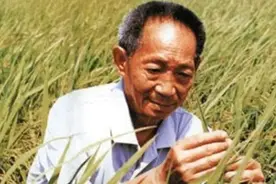 袁隆平逝世原因遭曝光？因坚持工作摔跤病倒，网友纷纷惋惜图片