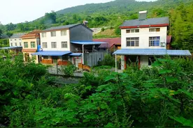 《土地管理法实施条例》于9月1日更新，农村闲置宅基地怎么办图片