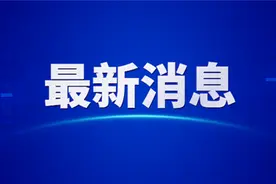 “一夜暴富”梦破碎 竟是虚拟币“割韭菜”？图片