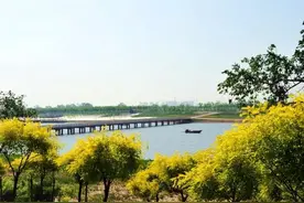北辰郊野公园春色满园、风光正好待君来！图片