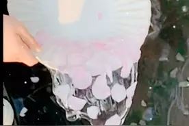 机灵姐说科学 科普最近很火的泼花成画背后的真相 你记住了吗？图片