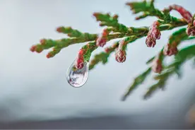 我告诉母亲给转了一万后，她未挂断的电话，让我悔恨痛哭图片
