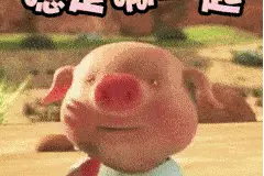 来咯来咯！2020海南万人健步大会活动明早见，直播带你亲临现场图片