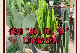茹老师聊六年级语文第二部分——汉字（汉字总复习第三课）图片