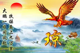 姓氏微信 大鹏一日同风起 扶摇直上九万里图片