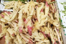 每年入伏都买5斤它，用奶奶教的方法泡一泡，简单好做，又甜又脆图片