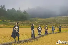 万亩梯田上演时尚大秀｜云南卫视《丝路云裳》第四集“田·稻生一”今晚九点档播出图片