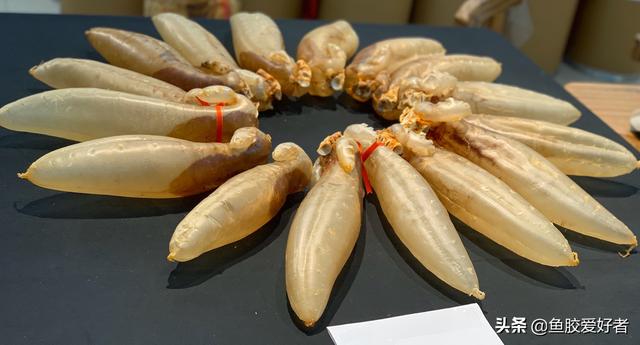 花胶热性还是凉性 2026年花胶热性还是凉性食物