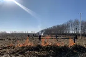 吉林省第一批秸秆限烧区计划集中烧除开始图片