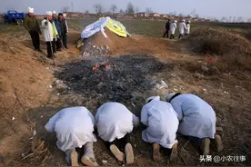 邻居在自家地里土葬老人，距离我家只有十米远，我该怎么办？图片