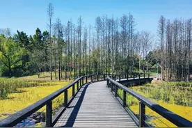 江苏一良心景点出名了，现为踏青赏花圣地，独特钓鱼体验人从众图片