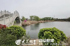 后续：滕州北辛植物园垃圾成灾问题已整治图片