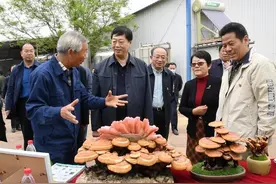 发展沟域经济 打赢脱贫攻坚战——河南省人大常委会副主任李文慧到洛阳调研图片