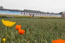 打蒜苔啦！郫都春日农忙风景独好图片