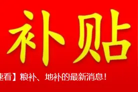 【速看】粮补、地补的最新消息！图片