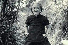 黄飞鸿克妻，连娶三妻皆早逝，被十九岁的十三姨打了一耳光结缘图片