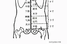 「针灸」32.曲骨（任脉）图片