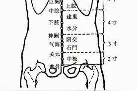 「针灸」32.曲骨（任脉）图片