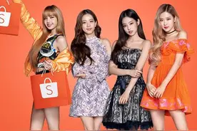 shopee大促季将至！下半年shopee卖什么最赚钱？图片