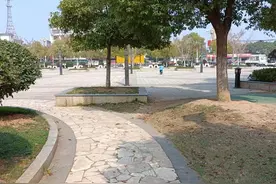 熊比妈妈即兴讲故事图片