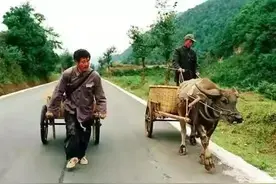 《落叶归根》：小人物的千里走单骑，看笑中带泪的故乡情怀，感人图片