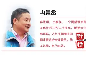 野性贵州丨脸上抹腮红，头戴高脚帽，它是要准备出席宴会？图片