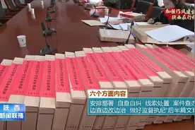 陕西省纪委监委开展粮食购销领域腐败问题专项整治督导调研工作 从严从重查处涉粮腐败问题图片