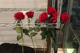 因为精神层次太高，总被误解的星座，悟性太强，总是高处不胜寒图片