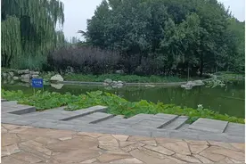 免费！位于望京的邻家公园，放松身心的休闲好去处！图片