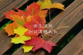 携手白头，谢谢你懂我，分道扬镳，谢谢你来过图片