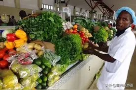 那么多中国人去到非洲工作，到底都在干些什么？哪些工作最赚钱？图片