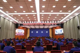 西藏消防救援总队总队长邓立刚讲授党史学习教育专题党课图片