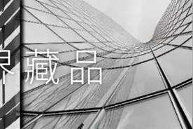 天生稀与贵——深圳湾的前世、今生和未来Vol.1图片