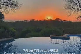 自责要短暂，但要长久铭记图片