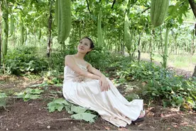 丝瓜何时种？怎么种？七个种植要点全在老农7句老话里图片