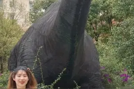 有一位会拍照的男朋友是真的很重要。图片