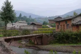 老人救蛇一命，蛇知恩图报，吃掉他家兔子，不料竟牵扯出一桩命案图片