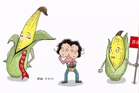 现在告诉你转基因真相图片