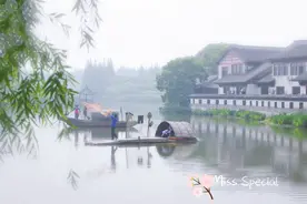解锁沙家浜隐秘玩法：捕鱼打菜籽漫游花海，芦苇荡中享船宴图片