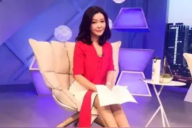 王小骞：15年丁克后意外怀孕生女儿，央视名嘴成为“育儿专家”图片