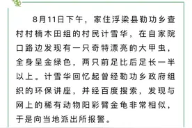 极其罕见！浮梁县勒功乡发现的这只甲虫，是国家二级保护动物图片