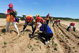 “我们又来看您啦！”图片