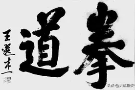 吴剑锋 |  站桩、试力与走步是大成拳修炼的关键功法图片