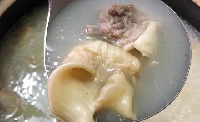 花胶海底椰煲大骨 2026年花胶海椰皇煲汤大全