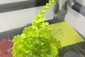 亲子互动游戏拼雪花片有感，生活不光是单曲循环，也需要有插曲图片