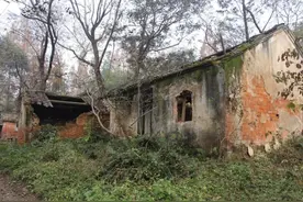 土地是有偿退出还是有偿流转，农民朋友早看早了解图片