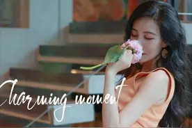 一个芳心纵火犯的自我修养图片