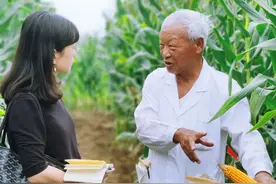 胡必德：一生一世“玉米情”图片